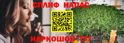 apvp Баксан
