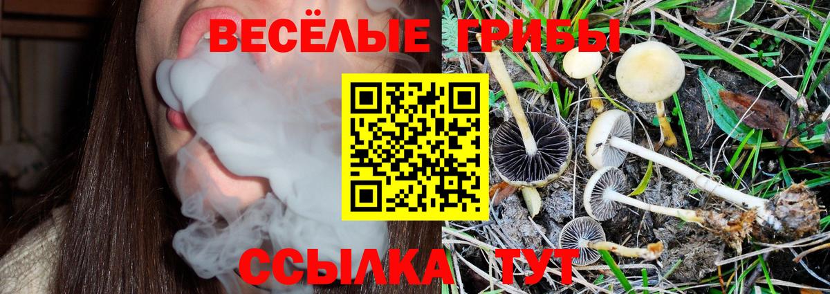 Галлюциногенные грибы мицелий  сколько стоит  Йошкар-Ола  Вход с VPN  Галлюциногенные грибы прущие грибы 